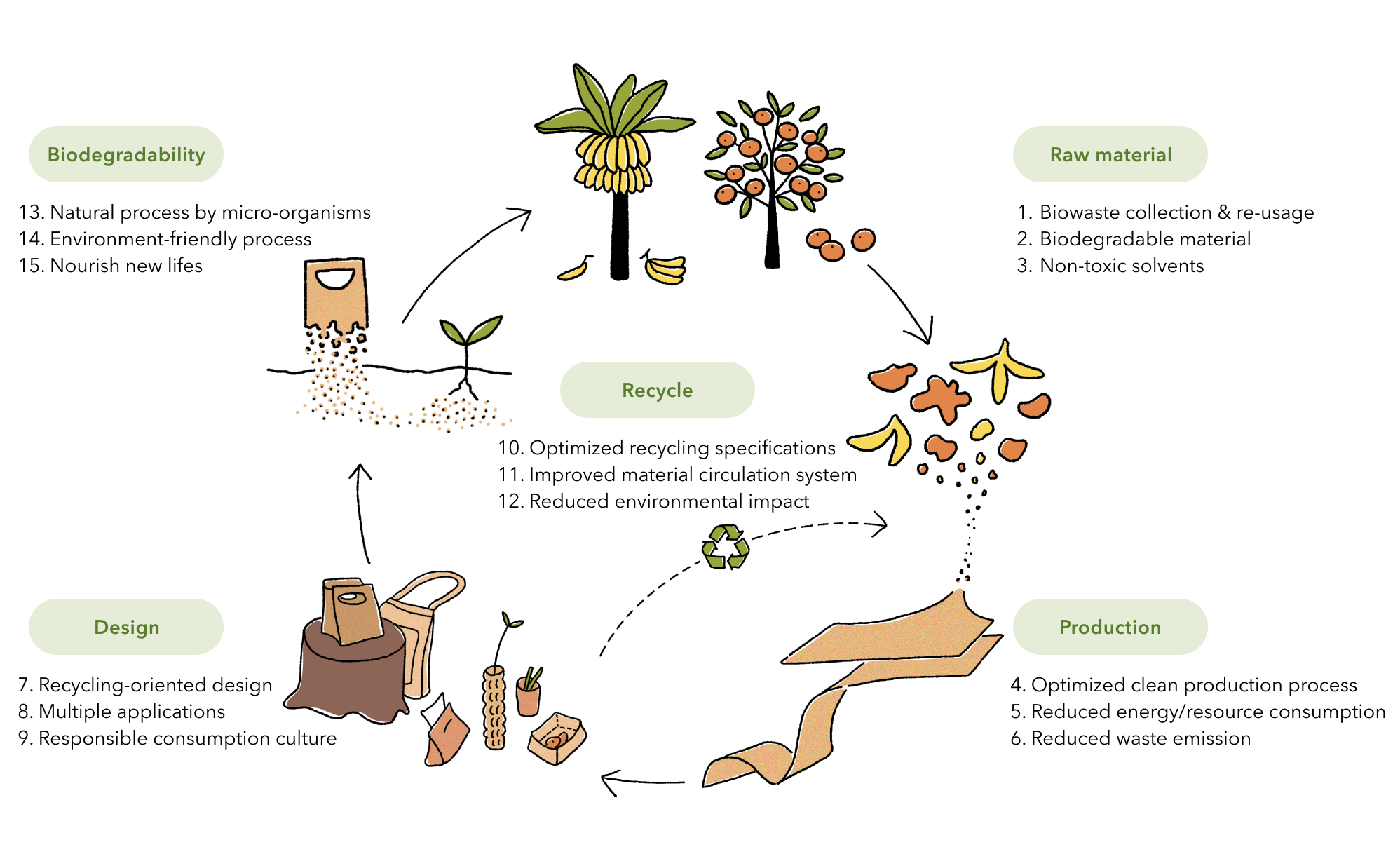 Life Cycle