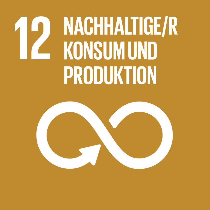 sdg 12