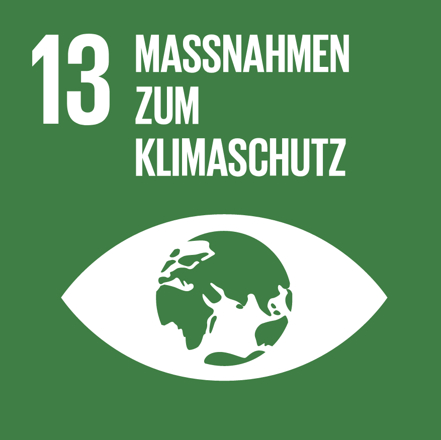 sdg 13